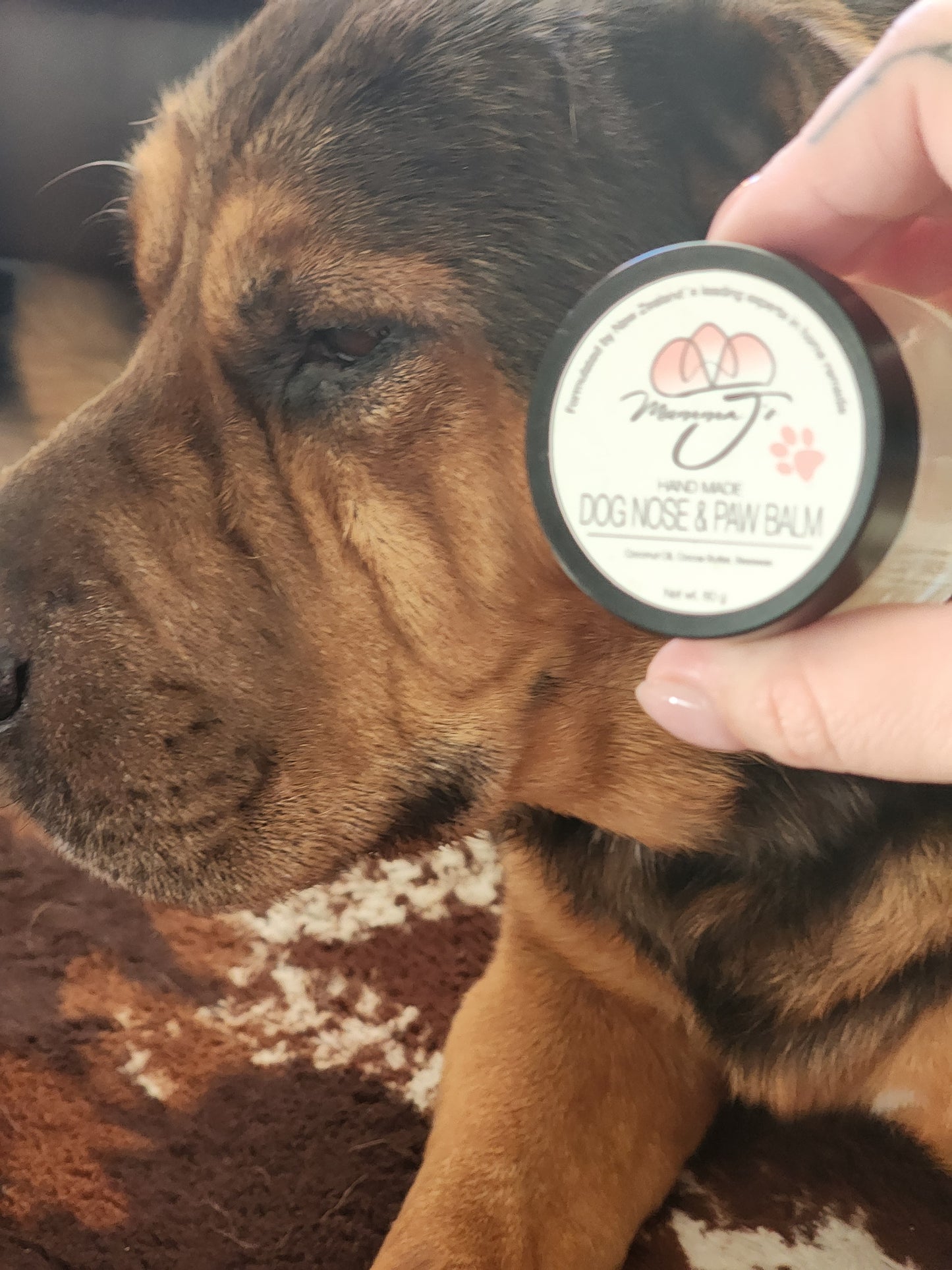 Dog Nose and Paw Balm