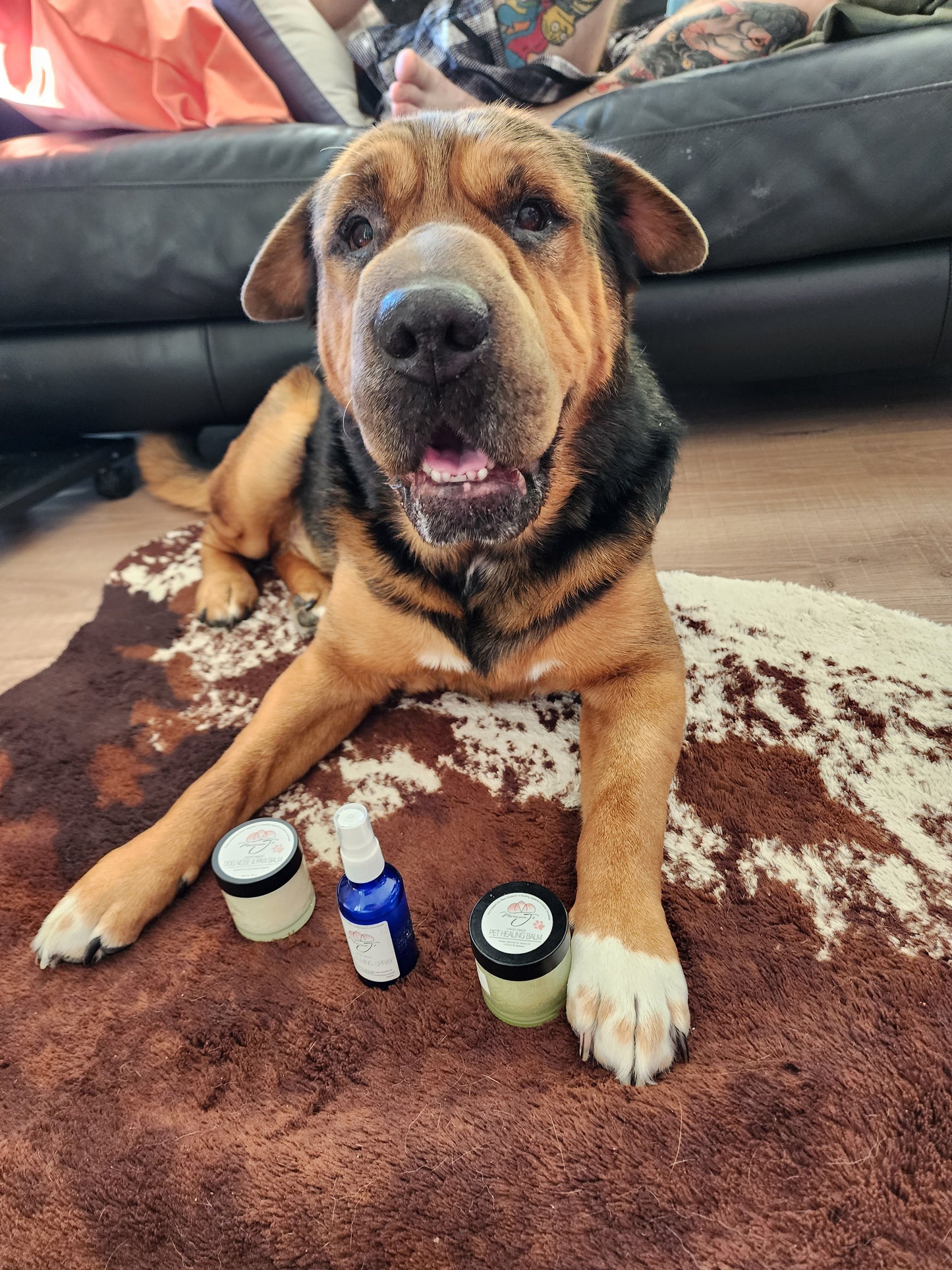 Dog Nose and Paw Balm
