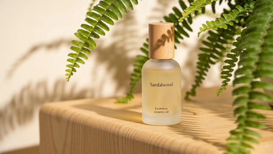 Sandalwood essential oil bottle surrounded by ferns, emphasising natural skincare benefits.