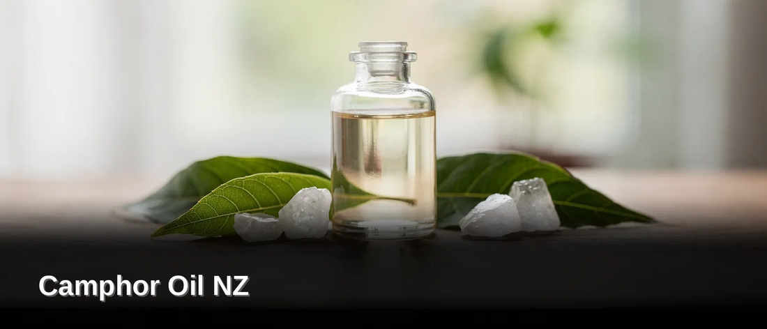 What Exactly Is Camphor Oil, Camphor Oil NZ
