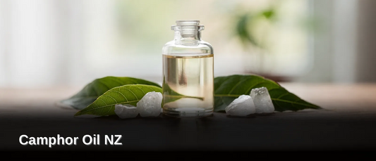 What Exactly Is Camphor Oil, Camphor Oil NZ