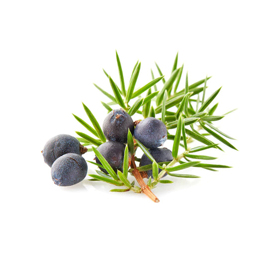 Juniper Berry Essential Oil 5ML